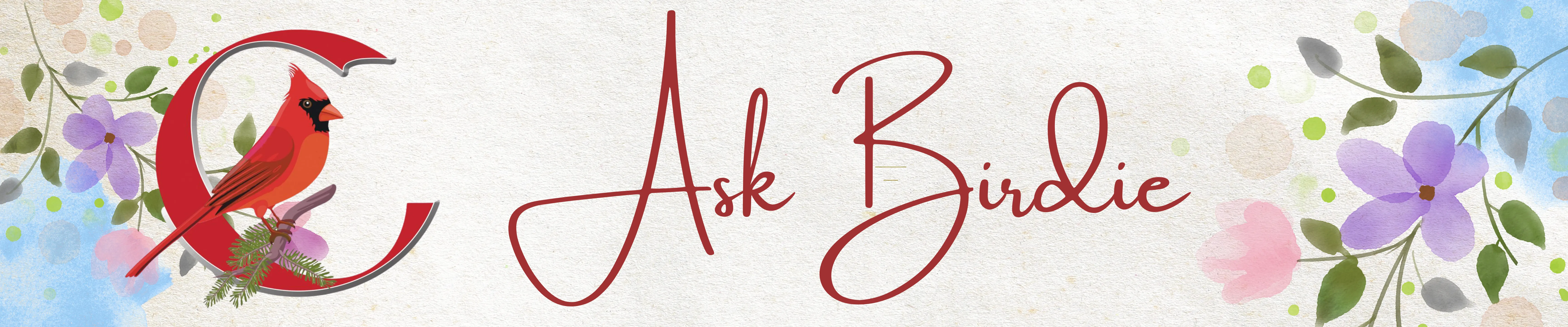 Ask Birdie: July 2024